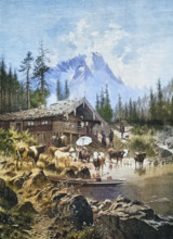 Refreshment at the alpine pasture