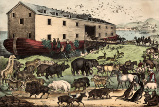 Noah's Ark