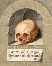Skull in a Niche