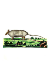 Nine-banded Armadillo