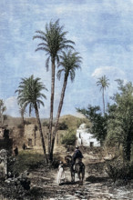 An oasis in the Sahara around 1800. Algeria. digital reproduction of a historical original