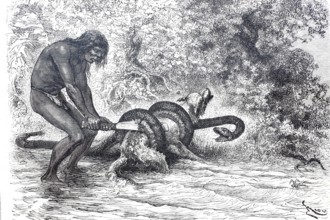 A South American Indian frees his dog from the stranglehold of a boa constrictor snake.