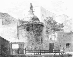 The Wusterhausen Bear.