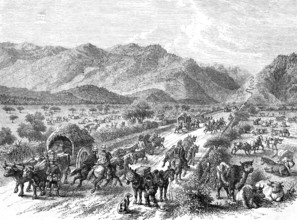 Country road with carriages from Valpardiso to St. Jago.