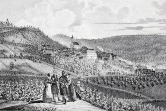 Castell Castle in the Middle Ages.