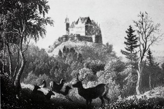 Callenberg Castle in the Coburg district in the Middle Ages.