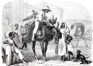 A fruit merchant and poultry dealer in Cuba.