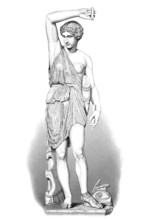 Illustration of the statue of an Amazon. Villa Mattei (documented since 1614). sold to the Vatican
