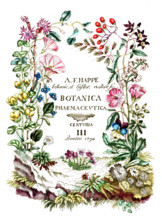 Cover of Botanica Pharmaceutica by Andreas Friedrich Happe