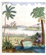 Cover of Botanica Pharmaceutica by Andreas Friedrich Happe