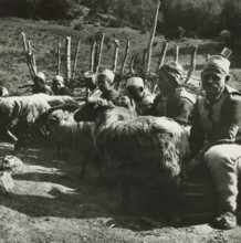 Cheesemakers from Varosh in Albania.