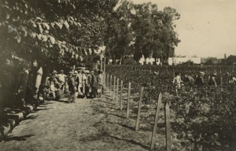 Students harvesting grapes at a winemaking school in Mendoza, Argentina.  
	
		1910-1940