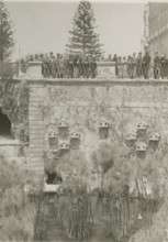 Arethusa Fountain in Ortigia.  Syracuse. 
	
		1924