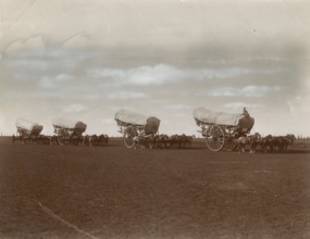 Horses and carts in Argentina. 
	
		1910-1940