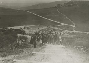 Climbing up to the temple at Segesta. 
	
		1924