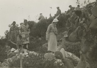 Castelmola Coast. 
	
		1924