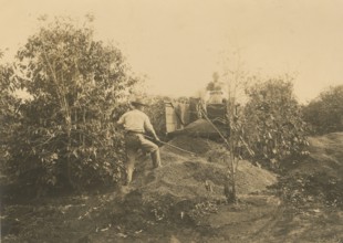 Coffee harvest in Brazil. 
	
		1910-1940