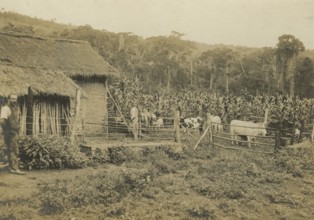 Joao Pinheiro Nucleus: Cacheira e gallinheiro de colono alemao. 1922