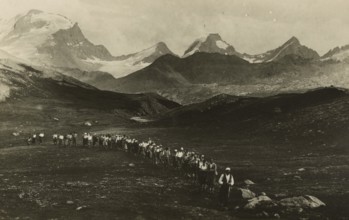 Hikers on the slopes of Gran Paradiso. 1933