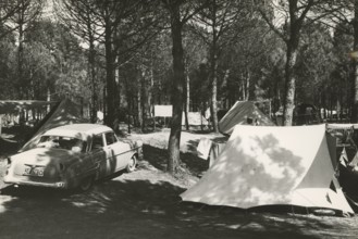 International Camping Park of Marina di Ravenna. 1952-1956