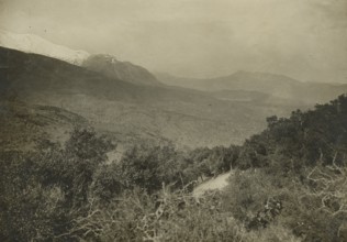 View of Castelbuono. ca. 1910
