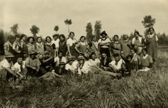 Stop during the harvest