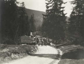 Walk near Lake Prags.