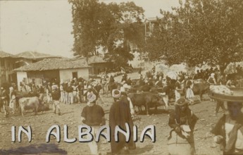 In Albania: market in Elbasan.