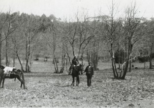 On the back of a mule.