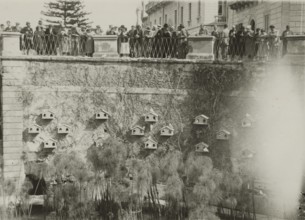 At the Fountain of Arethusa in Ortigia.  Syracuse. 
	
		1924