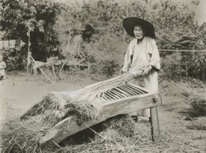 Rice processing in China.  1900