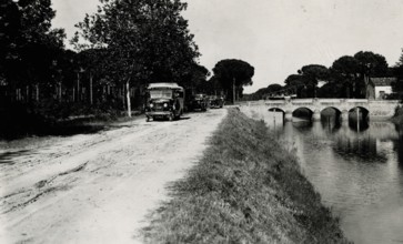 The Ravenna Pine Forest towards Sant'Apollinare in Classe. 
	
		1931