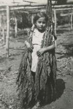 Costa Rican girl with large tobacco leaves. 1951