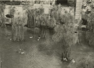 The Fountain of Arethusa in Ortigia. 1924