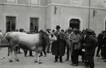 Visit to the Agricultural Institute of Cesena. 1931