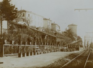 Dorio Station: the platforms and the garden beside the platform. 1913