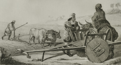 Sardinia. Sardinian farmers. Engraving by Woltener. Lemaitre direxit. History of Malta and Gozo, by