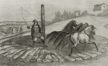 Sardinia. Threshing wheat. Engraving by Chaillot. Lemaitre direxit. History of Malta and Gozo, by
