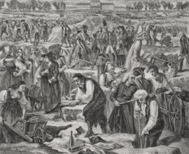 History of France. Fete de la Federation (Festival of the Federation). Commemoration of the first