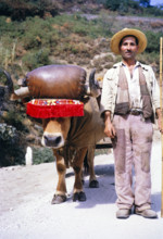 A series of images about port wine production in Portugal c 1960 - portrait of man standing next to