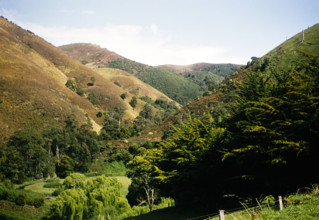 Interlocking spurs steep V shaped river valley landscape of Wild Dog Creek, near Apollo Bay