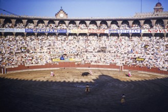 Inside Plaza de Toros Monumental de Barcelona bullring, bullfighting in progress, Barcelona,
