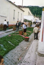 Laying out plants and flowers street religious procession, Procissao de Senhor der Infernos,