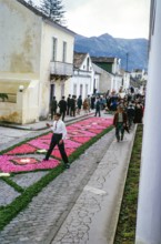 Laying out plants and flowers street religious procession, Procissao de Senhor der Infernos,