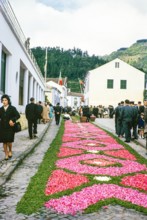 Laying out plants and flowers street religious procession, Procissao de Senhor der Infernos,