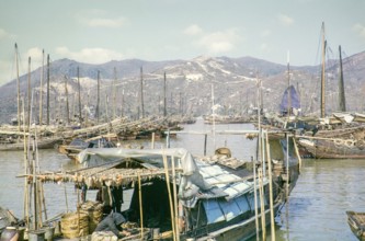 Fishing boats Chinese junks ships in harbour, Macau, Asia 1964.