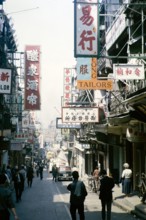 Busy street of shops and signs in English and Mandarin including for Tai Cheong Tailors, Wellington