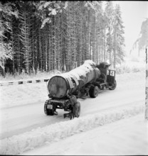 Oak log transport from Muhleberg to Diessenhofen, 1944