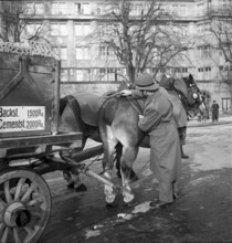 Metropolitan police, Zurich 1946