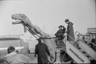 Prof. Trumpy is brought to the aircraft on a dinosaur's back, Zurich-Kloten 1963